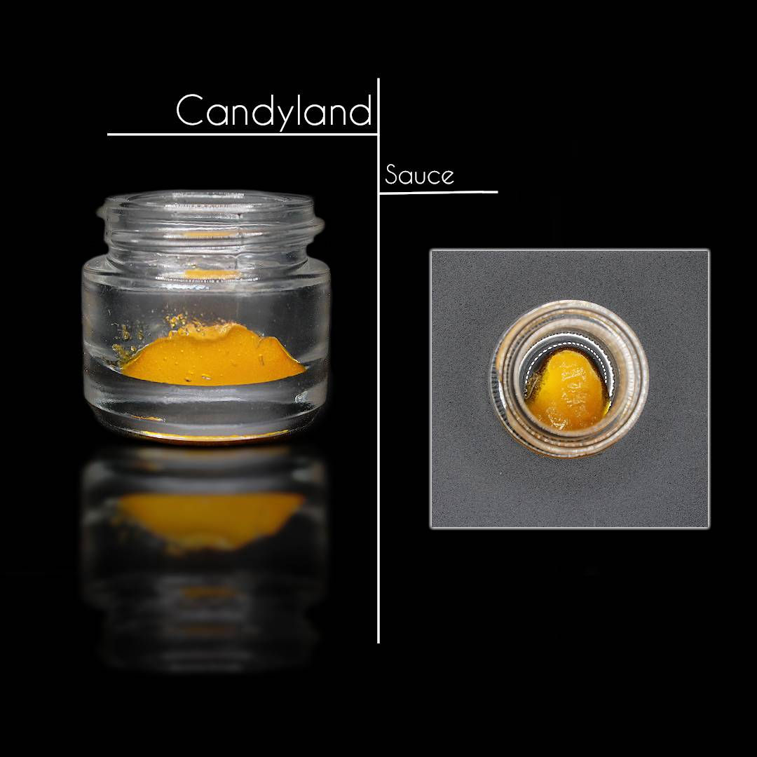 CandyLand HTFSE ( Sativa )
