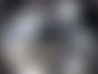 Allow us to brighten up your dark yard