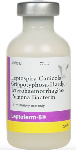 Zoetis Lepto Booster For Dogs Zoetis Parvo After Vaccination