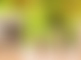 החזרים וסל הריון – בואו נדבר על זה