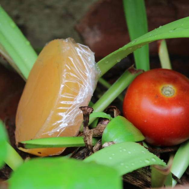 Tomato Soap