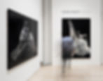 Paintings on display in a gallery