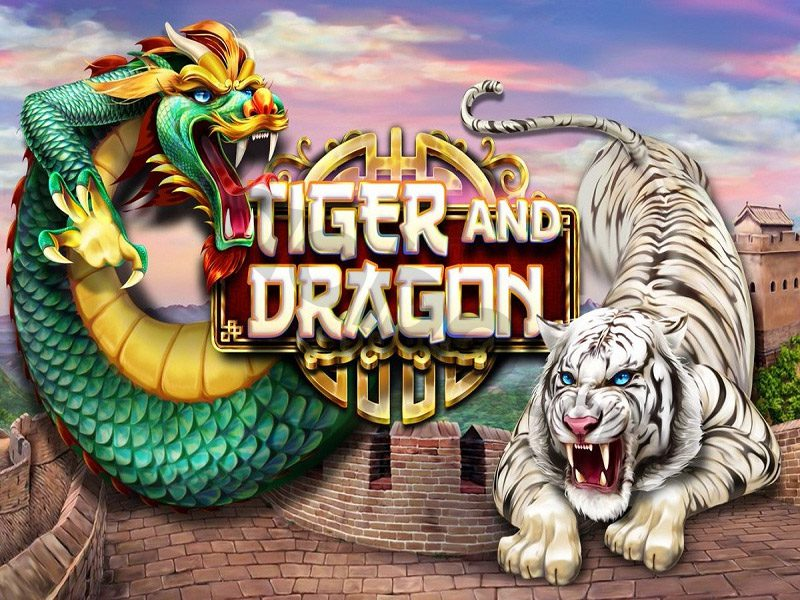 Hướng dẫn cách chơi rồng hổ dành cho người mới
content media