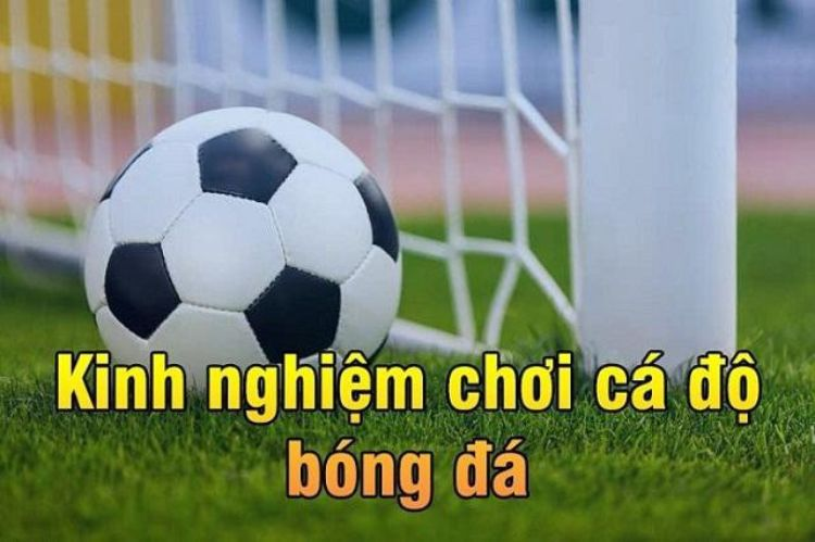 Mách nhỏ bạn mẹo soi kèo bóng đá châu Âu
content media