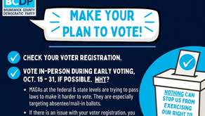 Make your plan to vote! View our guide here.
