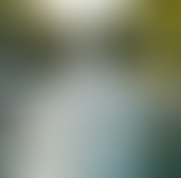 Designing Backyard Water Features for Your Home