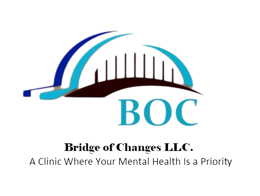 Bridge of Changes, LLC cover