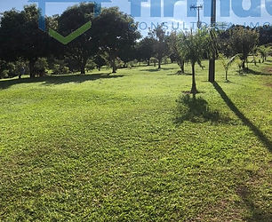 Fazenda com 73 Alq. Paranapanema-SP