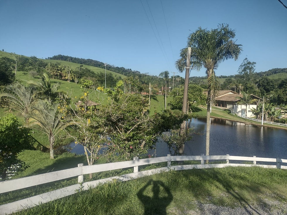 Gostou, fale conosco! (9).jpg