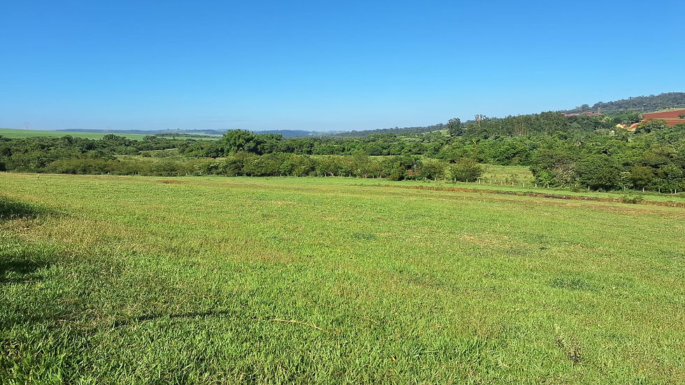 Gostou, fale conosco (6).jpg