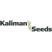 Kaliman Seeds Promotion