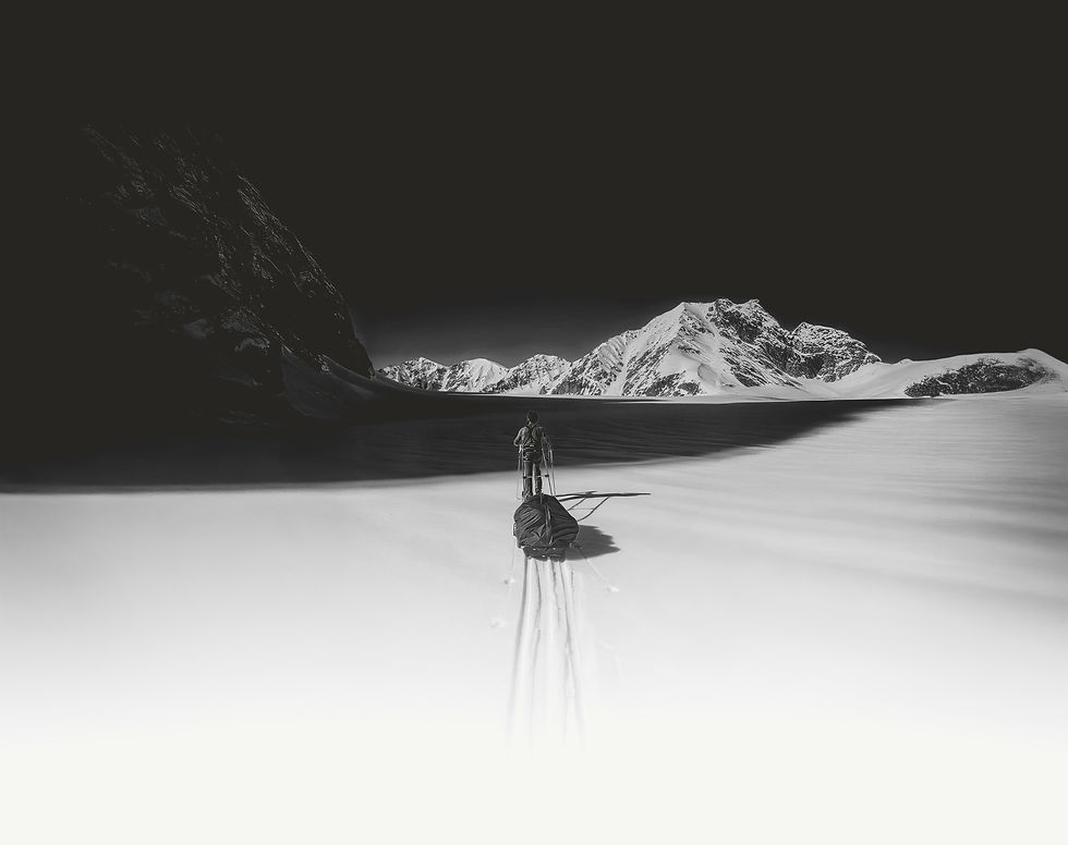 Aldo Kane Pulling Sled Black and White