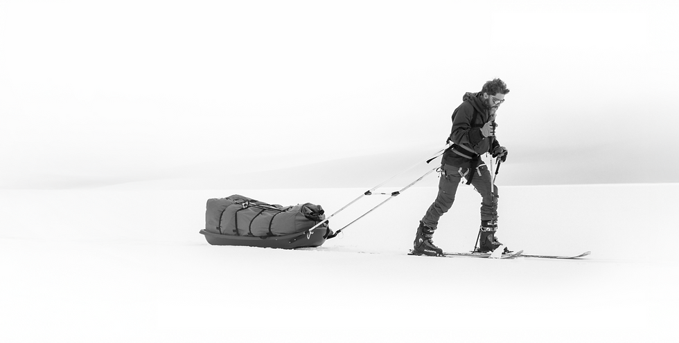 Aldo exploring the arctic