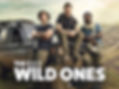 Aldo Kane - The Wild Ones Series