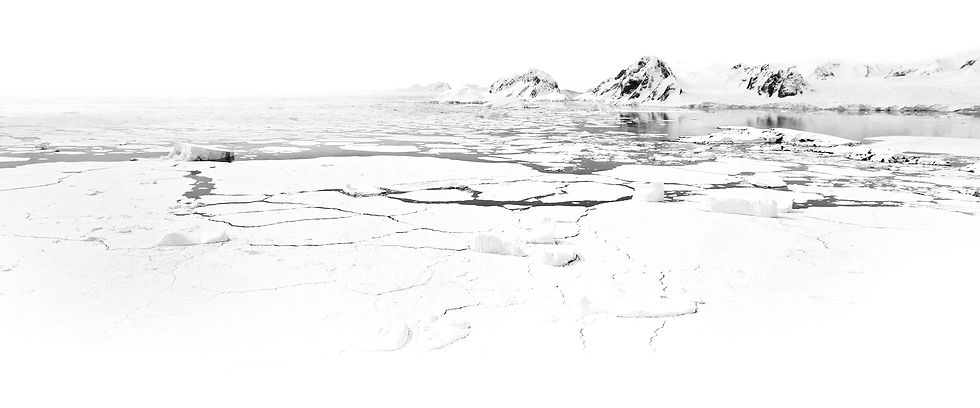 Arctic