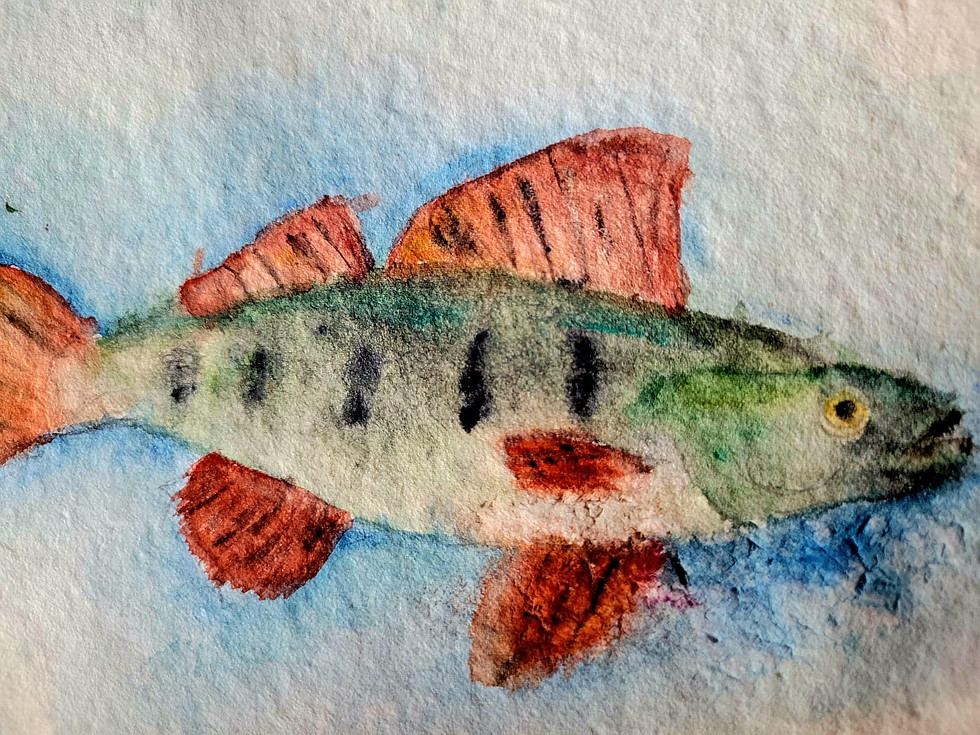 Thumbnail: River Fish