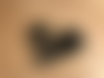 スマホ用広角レンズをもってIKEAへ現調。