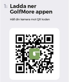 GolfMore1.png