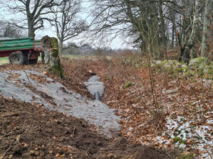 Vad har hänt på banan under vintern?
