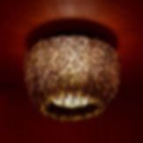 Urchin