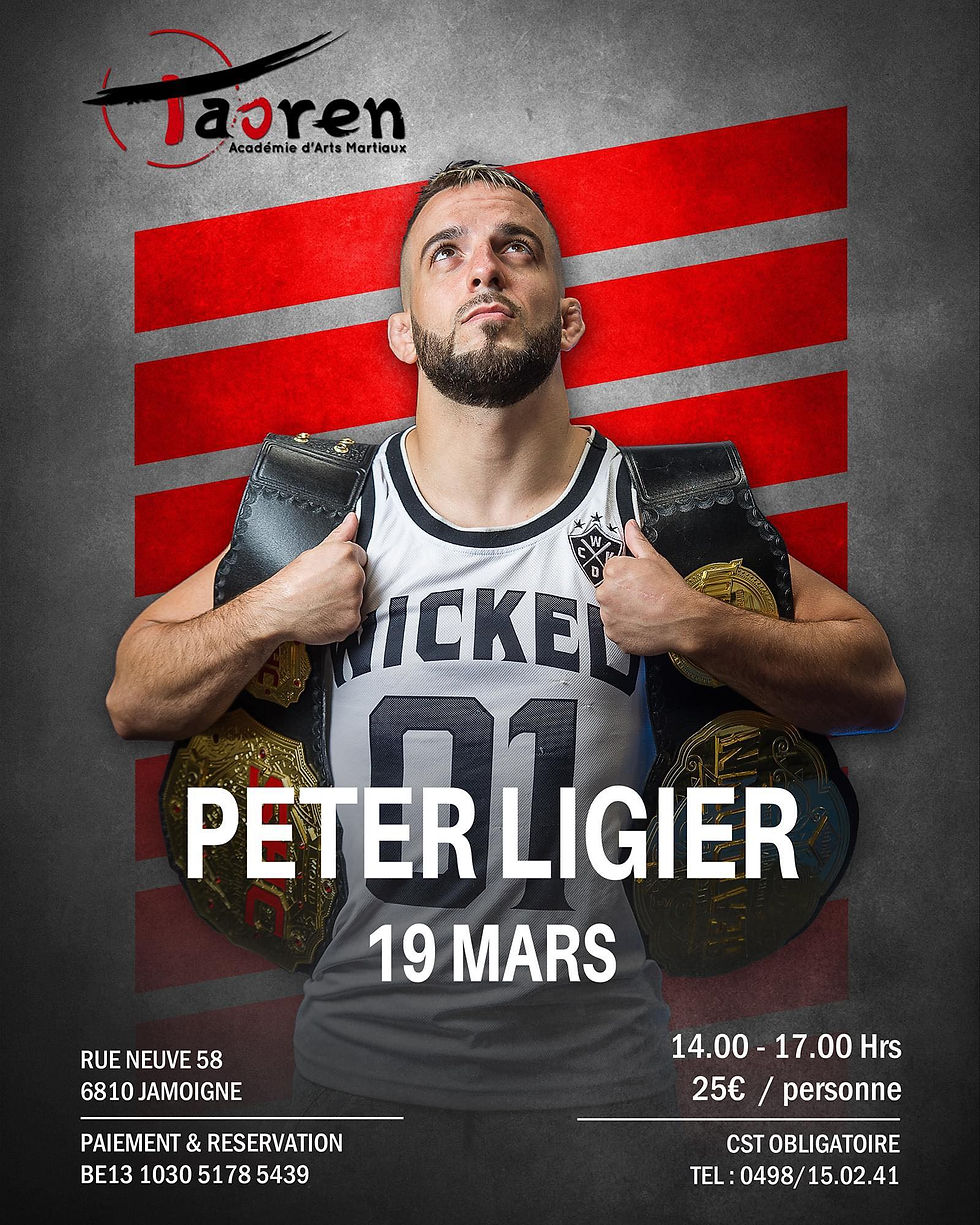 Stage MMA - Peter LIGIER