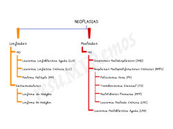 NEOPLASIAS (1)