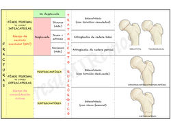 FRACTURAS CADERA.001 (1)