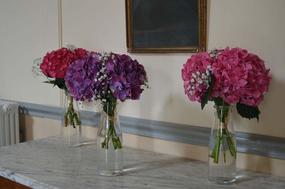 Mariage T&J Pézenas - Hérault