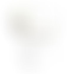 Number of Fishers for Different Regions and the World's Top Exporters of Fish - IELTS Task 1 Multiple Diagrams Band 9 Sample