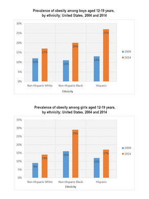 Prevalence of Obesity among Boys and Girls Aged 12 to 19 Years by Ethnicity, in the United States - IELTS Task 1 Bar Chart Band 9 Sample Report