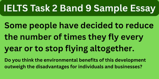 Some People Have Decided to Reduce the Number of Times They Fly Every Year or to Stop Flying Altogether - IELTS Task 2 Band Essays