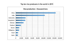 Top Ten Rice Producing Countries in the World in 2015 - IELTS Task 1 Bar Graph Band 9 Sample Report