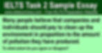 Companies and Individuals Should Pay To Clean Up the Environment - IELTS Task 2 Band 9 Sample Essay