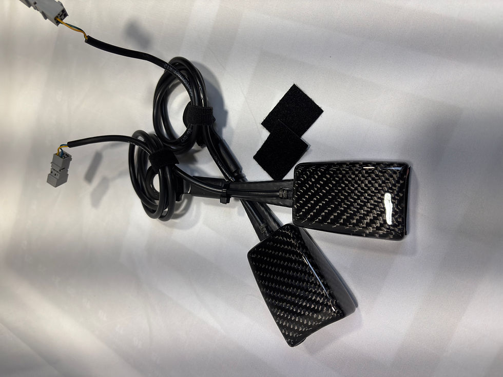 Thumbnail: Porsche Carbon Fiber Front Seat Belt Buckle Receivers