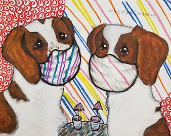 Two Brittany Spaniels in quarantine bandanas.