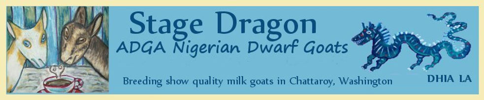 Nigerian Dwarf Breeder in Chattaroy, WA ADGA Registered
