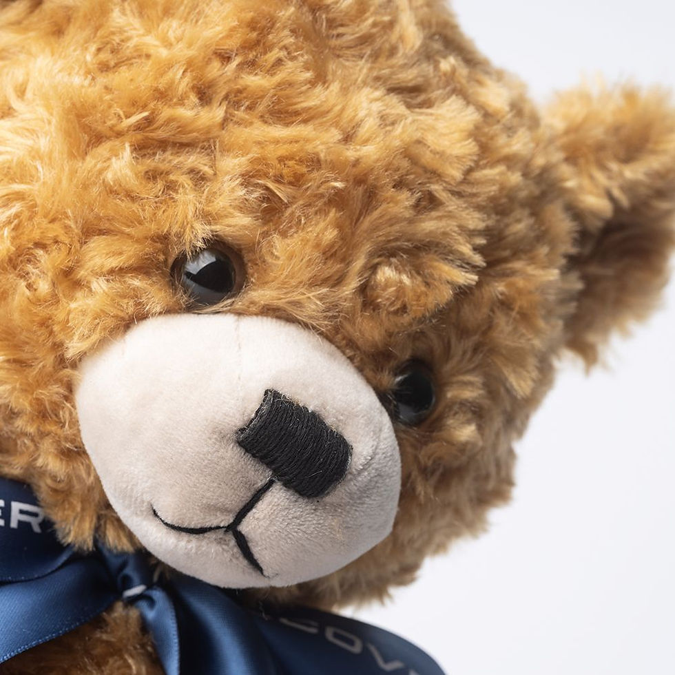 Miniaturbild: Discovery Bär