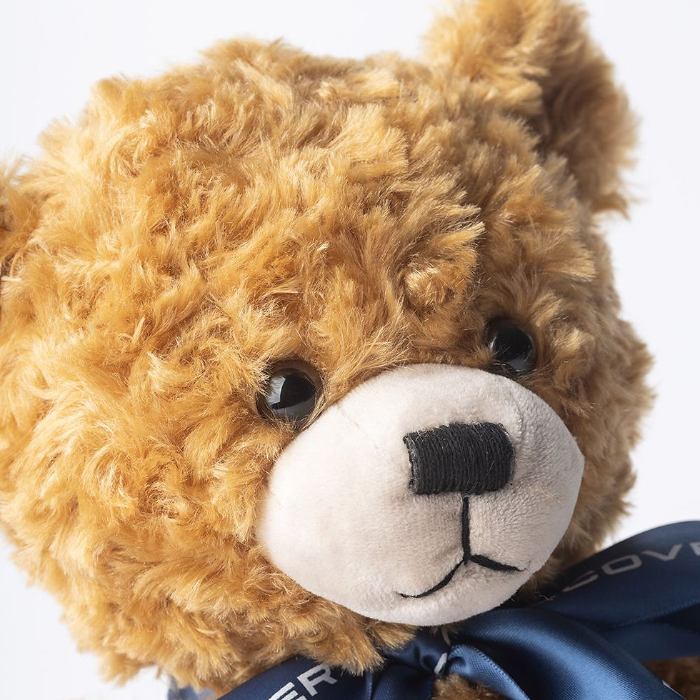 Miniaturbild: Discovery Bär