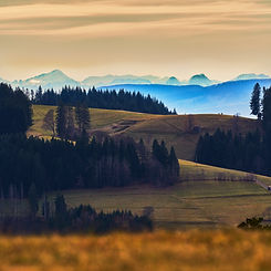 Schwarzwald mit Alpenblick.jpg