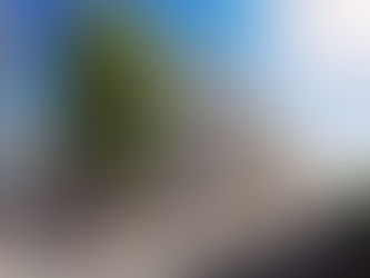 Scandinavian Development tror på et relativt raskt comeback for nyboligmarkedet etter koronapandemie