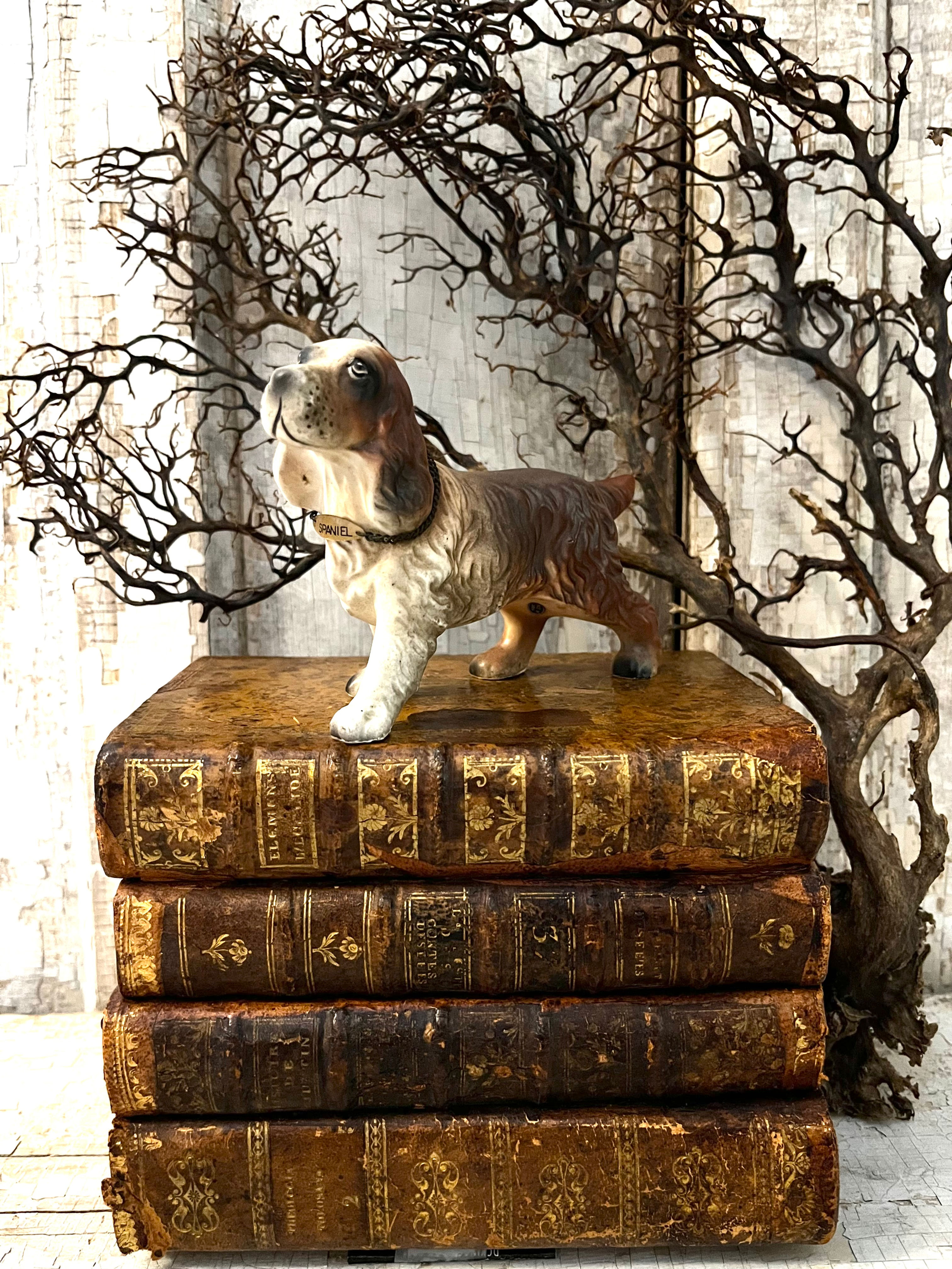 Vintage Painted Porcelain Spaniel Figurine