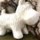 Thumbnail: Vintage Porcelain Scotty Dog