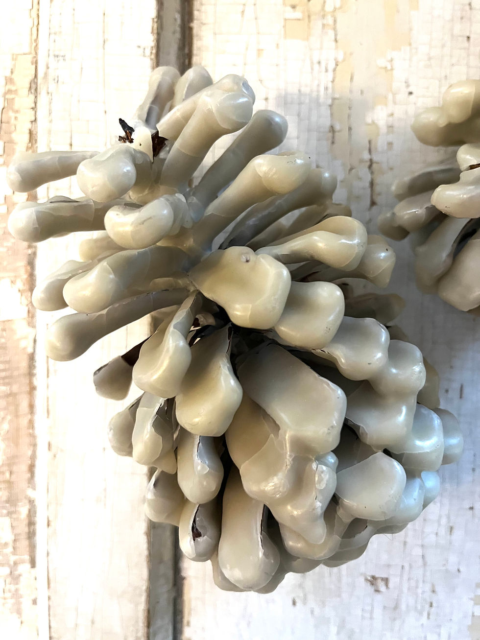 Thumbnail: Vintage Pair of Waxed Pinecones