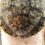 Thumbnail: Classic Turtle Shell, Large (size, color and texture will vary)