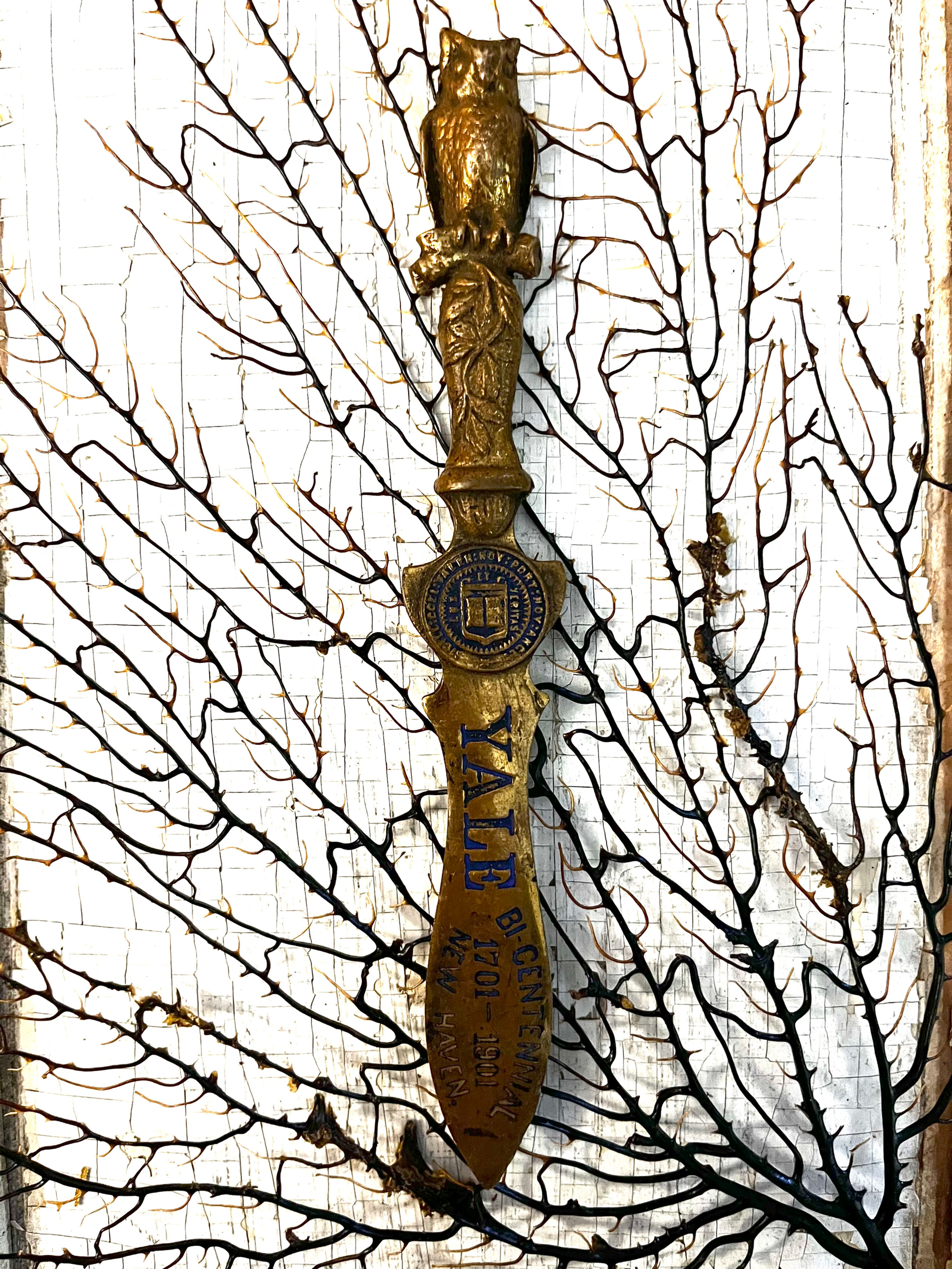 Antique Rare Bronze Bicentennial Yale Letter Opener with Owl Motif