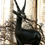 Thumbnail: Vintage Black Wooden Roe Deer