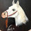 Thumbnail: Vintage Horse Plaque
