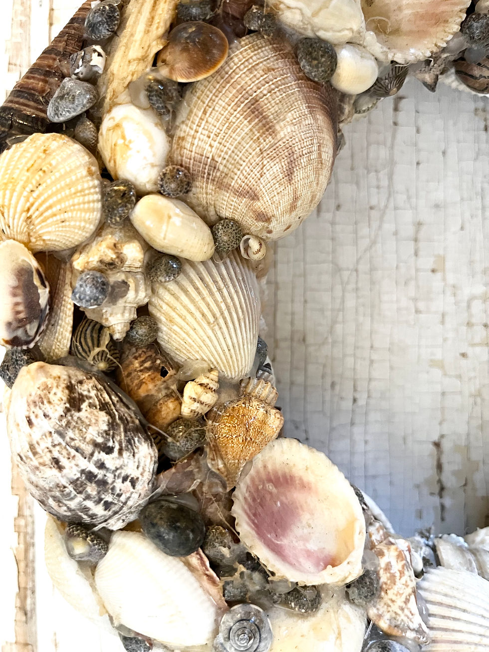 Thumbnail: Vintage Shell Wreath with Jute String Hanger