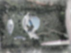 VILLA LOTTO C12
