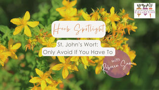 SPOTLIGHT ON ST. JOHN'S WORT: ONLY AVOID IF YOU HAVE TO! WITH REBECCA SNOW